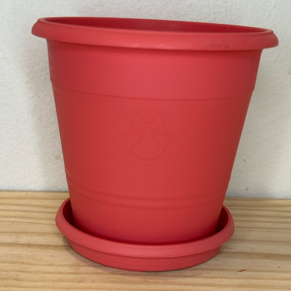 Coral 4 In Plastic Planter Pot with Saucer Indoor Outdoor Garden